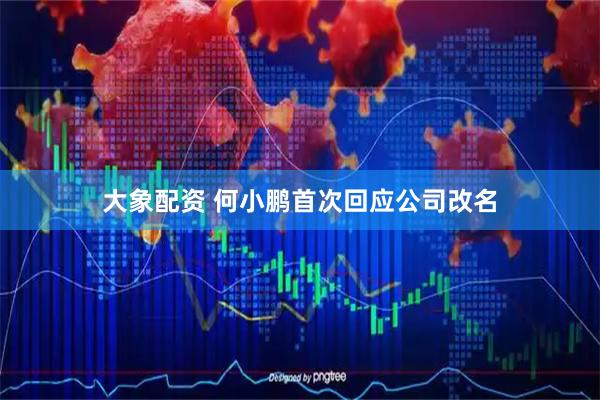 大象配资 何小鹏首次回应公司改名